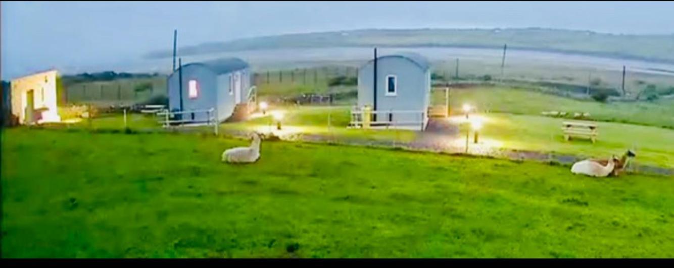 The Snuggly Sheep Shepherd Hut Farm Stay Баллішаннон Екстер'єр фото